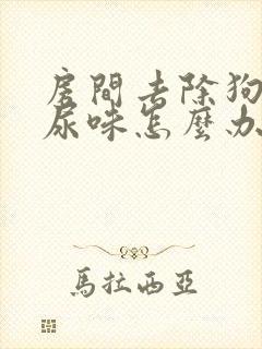 房间去除狗的屎尿味怎么办