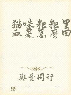 猫咪粑粑里面有血是怎么回事