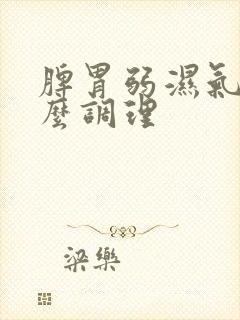 脾胃弱湿气重怎么调理