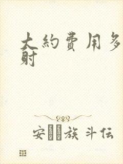 大约费用多少早射