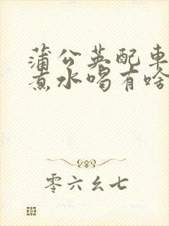 蒲公英配车前草煮水喝有啥功效