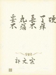 睾丸长了硬疙瘩不痛不痒