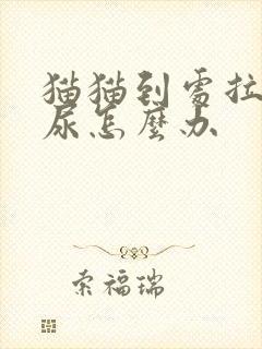 猫猫到处拉屎拉尿怎么办