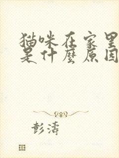 猫咪在家里乱尿是什么原因