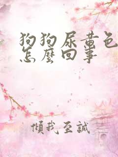 狗狗尿黄色的尿怎么回事