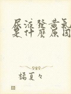 尿液发黄气味重是什么原因