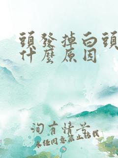 头发掉白头发多什么原因