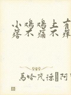 小鸡鸡上有小疙瘩不痛不痒