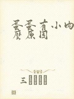 蛋蛋有小肉粒什么原因