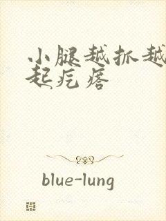 小腿越抓越痒后起疙瘩