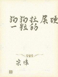 狗狗拉屎硬一粒一粒的