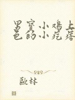 男宝小鸡上有白色的小疙瘩怎么回事