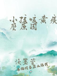 小孩咳黄痰是什么原因