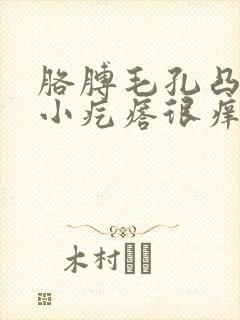 胳膊毛孔凸起的小疙瘩很痒