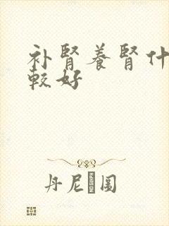 补肾养肾什么比较好