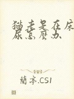 猫老是在床上拉尿怎么办