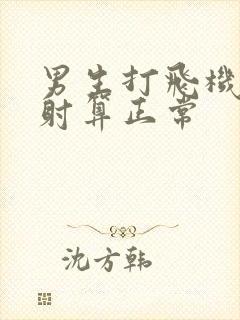 男生打飞机多久射算正常