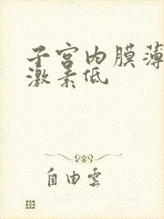 子宫内膜薄雌性激素低