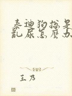 泰迪狗总是乱拉乱尿怎么办