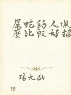 属蛇的人佩戴什么比较好招财