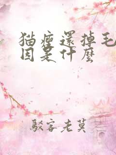 猫瘦还掉毛的原因是什么