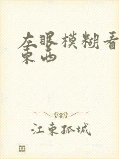 左眼模糊看不清东西