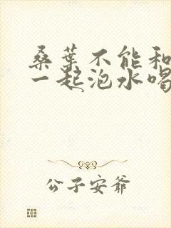 桑叶不能和什么一起泡水喝