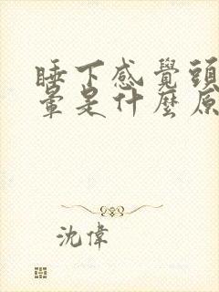 睡下感觉头有点晕是什么原因