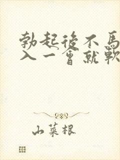 勃起后不马上插入一会就软