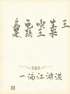 乌龟吃生玉米还是熟玉米