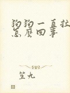 狗狗一直拉软便怎么回事