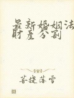 最新婚姻法夫妻财产分割