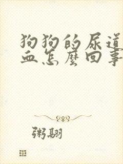 狗狗的尿道口流血怎么回事