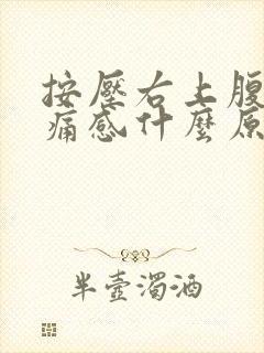 按压右上腹部有痛感什么原因