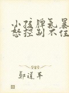 小孩脾气暴躁易怒控制不住情绪