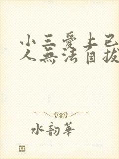 小三爱上已婚男人无法自拔