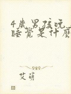 4岁男孩晚上不睡觉是什么原因