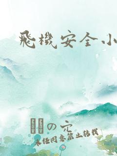 飞机安全小故事