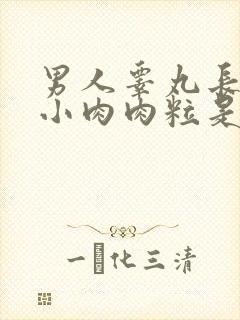 男人睾丸长了个小肉肉粒是什么原因