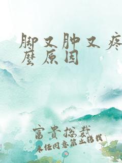 脚又肿又疼是什么原因