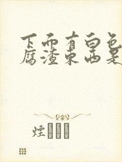 下面有白色的豆腐渣东西是什么