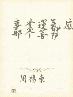 事业运气应该拜哪个菩萨