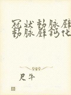 冠状动脉壁及主动脉壁钙化