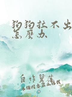 狗狗拉不出屎了怎么办