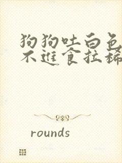 狗狗吐白色粘液不进食拉稀