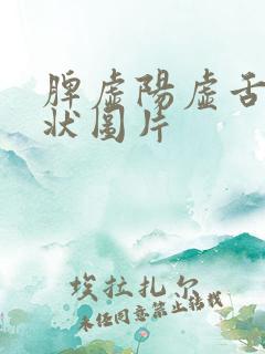 脾虚阳虚舌头症状图片