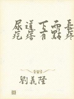 尿道下面长了小疙瘩有点疼