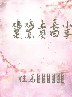 鸡鸡上长小肉粒是怎么回事