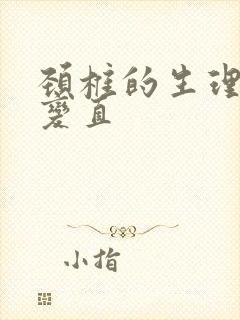 颈椎的生理弯曲变直