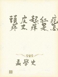 头皮起红疙瘩又疼又痒是怎么回事